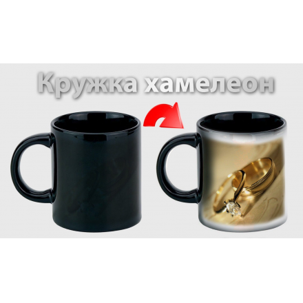 Фото на кружку Хамелеон (матовая черная)